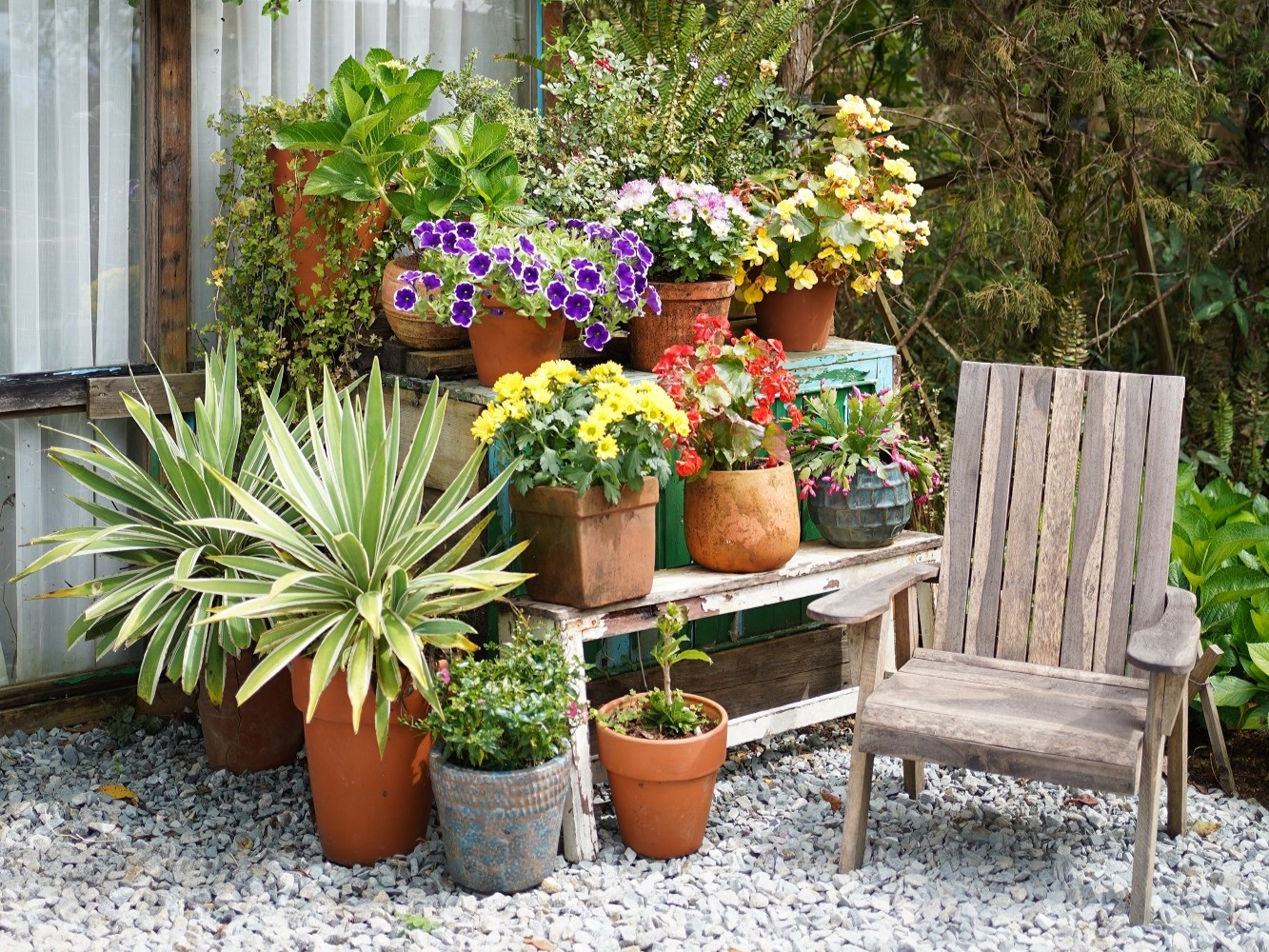 adv Ulrich rt Zapfen 107