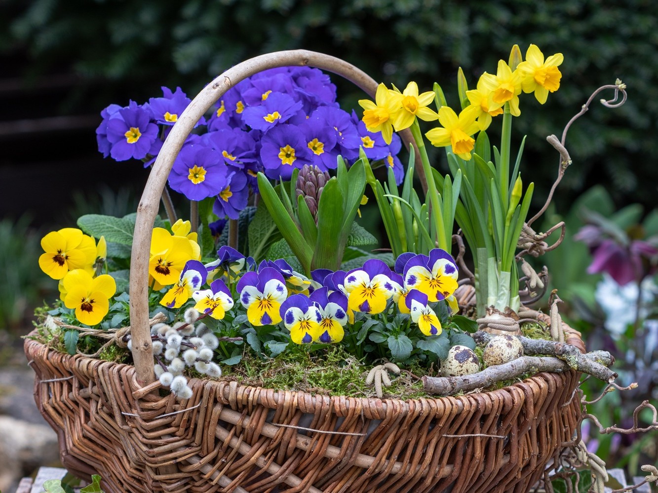 adv Ulrich rt Zapfen 107